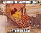 Прикрепленное изображение: image.jpeg