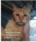 Прикрепленное изображение: IMG-20181025-WA0007.jpg