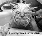Прикрепленное изображение: C__Data_Users_DefApps_AppData_INTERNETEXPLORER_Temp_Saved Images_hohmodrom_15140473889186.jpg