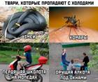 Прикрепленное изображение: 1570747134_prikol-11.jpg
