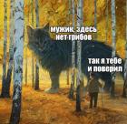 Прикрепленное изображение: ciuek6z9b5Q.jpg