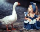 Прикрепленное изображение: look.com.ua-303497.jpg