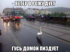 Прикрепленное изображение: 1398526604_373167425.jpg