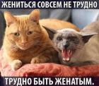 Прикрепленное изображение: 1601880895.jpg