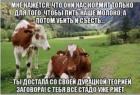 Прикрепленное изображение: 1602515497.jpg