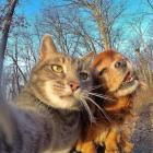Прикрепленное изображение: nataliaklevaia_248539673_282600950398080_8368645304634569218_n.jpg