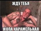 Прикрепленное изображение: Жду тебя, жопа карамельная.jpg