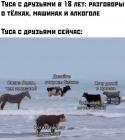 Прикрепленное изображение: Туса с друзьями.jpg