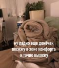 Прикрепленное изображение: Котик в зоне комфорта.jpg