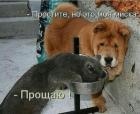 Прикрепленное изображение: 1664994512.jpg