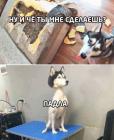 Прикрепленное изображение: 1665916756.jpg