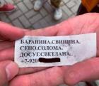 Прикрепленное изображение: aTGDnQnJ2sY.jpg