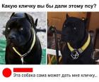 Прикрепленное изображение: 387208801_1711156276049788_2235372570285850307_n.jpg