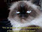 Прикрепленное изображение: Что за люди.jpg