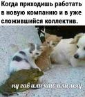 Прикрепленное изображение: Сложившийся коллектив.jpg