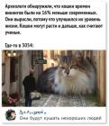 Прикрепленное изображение: 1728276451.jpg
