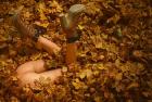 Прикрепленное изображение: 1671871524_64-pornotaran-com-p-porn-in-the-autumn-forest-70.jpg