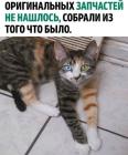 Прикрепленное изображение: 1759558361.jpg