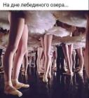 Прикрепленное изображение: 557193511_31421251960852519_2723385406244749726_n.jpg