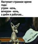Прикрепленное изображение: 1760871843.jpg