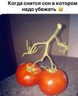 Прикрепленное изображение: pobeg-iz-shoushenka_29147.jpg