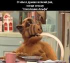 Прикрепленное изображение: 1760816974.jpg