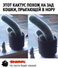 Прикрепленное изображение: 555715274_10172428806520142_3743767170209380862_n.jpg