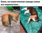 Прикрепленное изображение: 1761293240.jpg