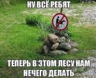Прикрепленное изображение: IMG_2924.jpeg