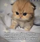 Прикрепленное изображение: Рабочие сообщения.jpg