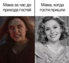 Прикрепленное изображение: Мама и гости.jpg