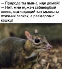 Прикрепленное изображение: Wdh-O8GRLZXE7-93xmrlpGbD5nXVmIyjilLexkddxHMyQ-s8VzYIfwcDEp6tuWF2KIc2Ub6fFW5OB8WhQc1ELoTC.jpg