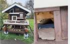 Прикрепленное изображение: koshkin-dom_42035.jpg