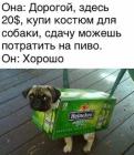 Прикрепленное изображение: 1790977249.jpg