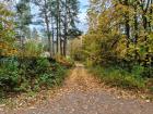 Прикрепленное изображение: IMG_20261007_151109.jpg