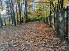 Прикрепленное изображение: IMG_20261007_165538.jpg