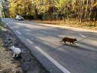 Прикрепленное изображение: IMG_20261019_133939.jpg