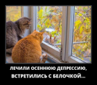Прикрепленное изображение: осенняя депрессия.png