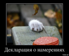 Прикрепленное изображение: Декларация о намерениях.png