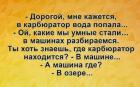 Прикрепленное изображение: вода в карбюраторе.jpg