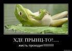 Прикрепленное изображение: voqwprfntu3a.jpg