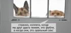 Прикрепленное изображение: dCE87873.jpg