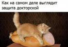 Прикрепленное изображение: Защита докторской.jpg