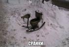 Прикрепленное изображение: Сранки.jpg