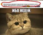 Прикрепленное изображение: FB_IMG_1479880743838.jpg