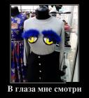 Прикрепленное изображение: demotivatory_na_vtornik_30_foto_1%20(1).jpg