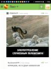 Прикрепленное изображение: image.jpeg
