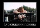 Прикрепленное изображение: image.jpeg