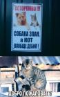 Прикрепленное изображение: image.jpeg