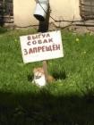 Прикрепленное изображение: DfsuUc_rZww.jpg